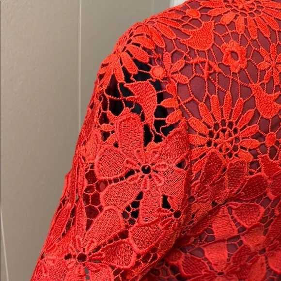 B6 Karen Millen Women’s 6 Scarlet Floral Lace Midi Dress - Picture 5 of 6